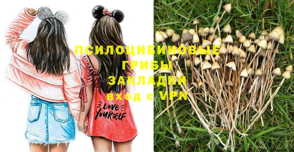 гидра Балахна